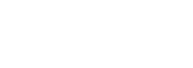 HOYST